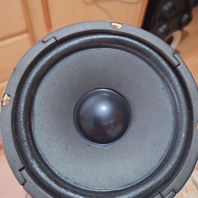 Altavoces Samsung 10W06A4 4 Ohm BBU + twitter 10w