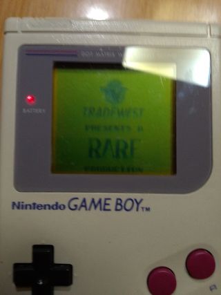 Battletoads Game Boy