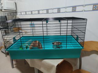 Jaula cobaya con accesorios
