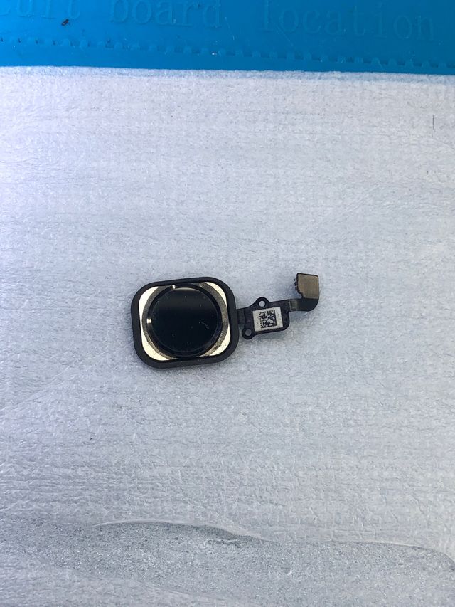 Home» Tasto per impronte digitali per iPhone 6 Plus