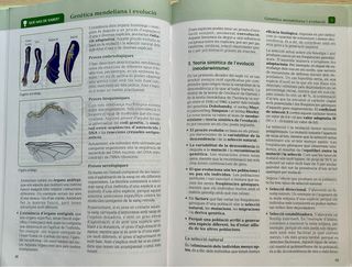 L’essencial de Biologia