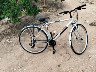 Bicicleta de paseo plateada