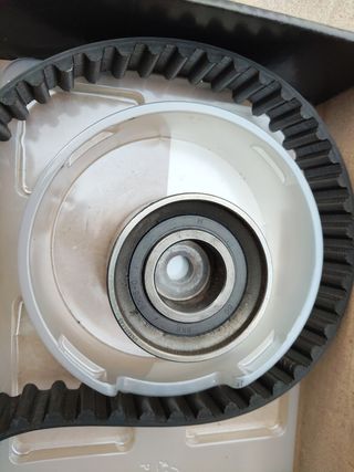 Correa distribución Hyundai Coupe