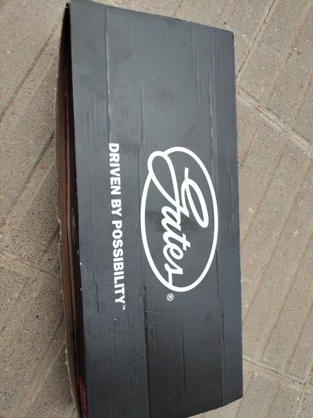 Correa distribución Hyundai Coupe