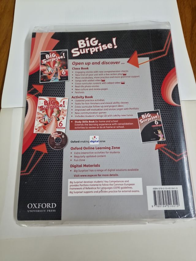 Big Surprise! 6. Class Book