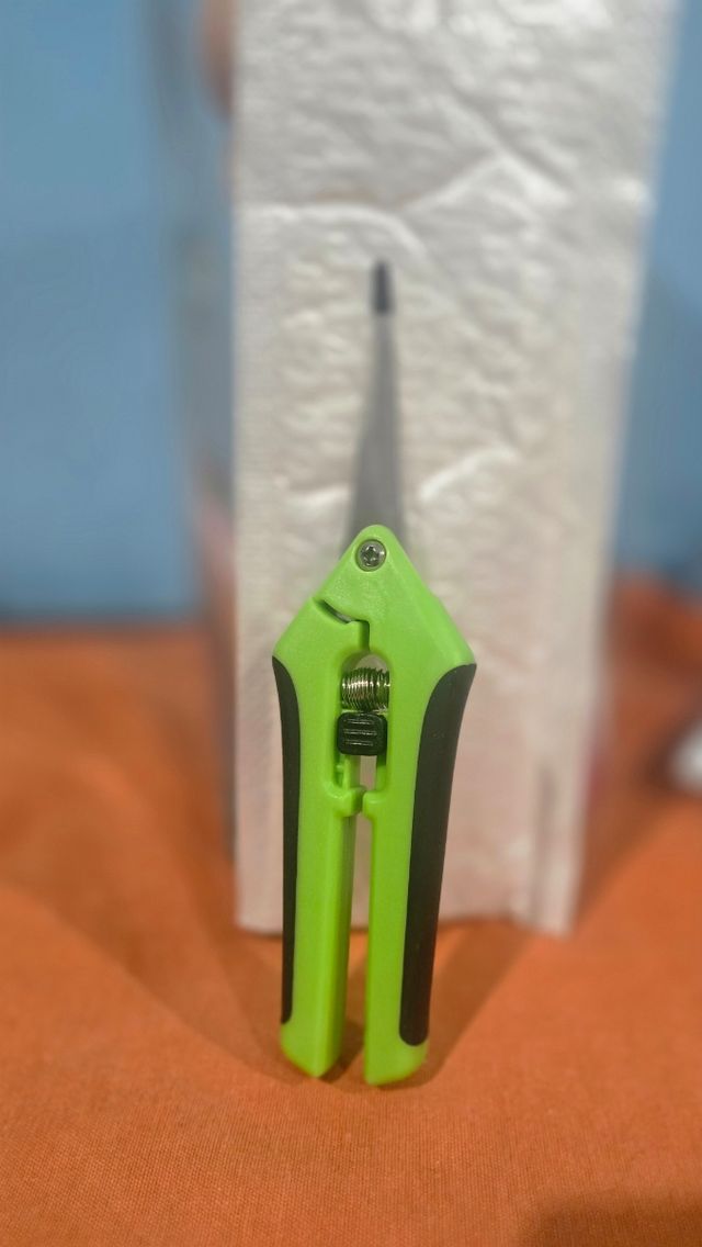 Tijeras de podar verdes