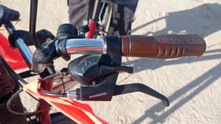 Bicicleta de paseo
