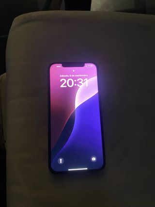 iPhone 12 Pro Max 256 GB 