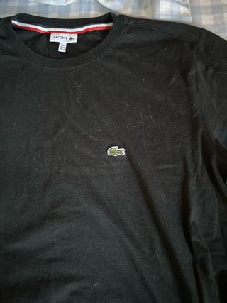 Camiseta Lacoste Negra Talla 16 186 cm 