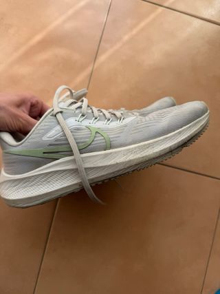 Zapatillas Nike Running Pegasus 39