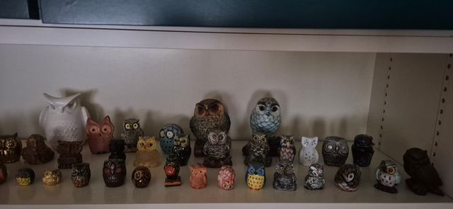 Colección de búhos decorativos