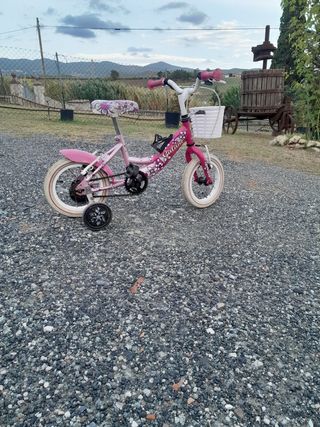 Bicicletta bambina rosa