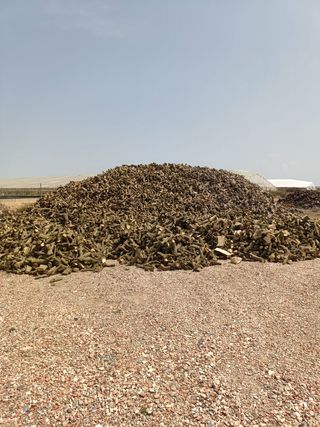 Leña para chimenea o barbacoa