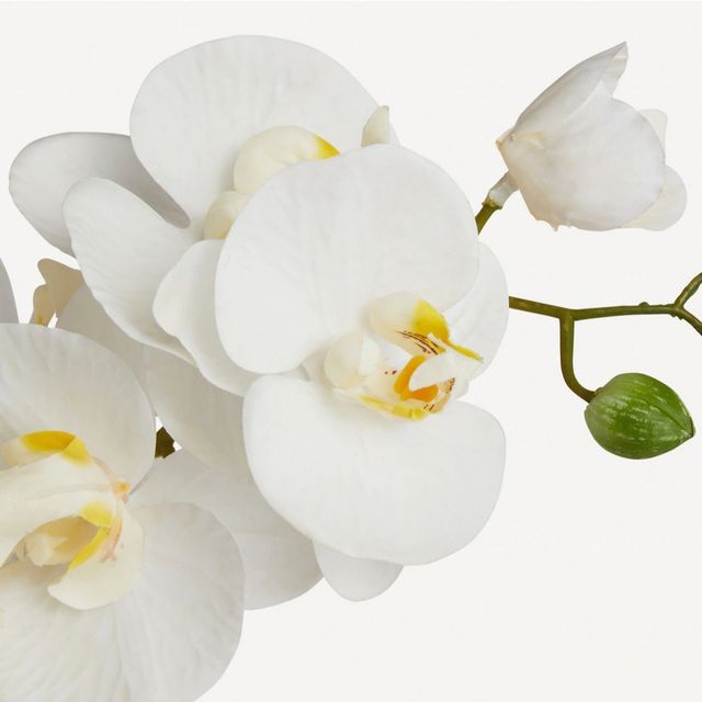 Orquídea Blanca Artificial