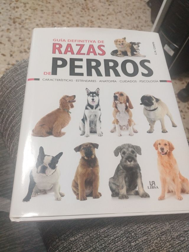 Los secretos de YouTube