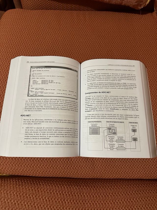 Enciclopedia de Microsoft Visual Basic