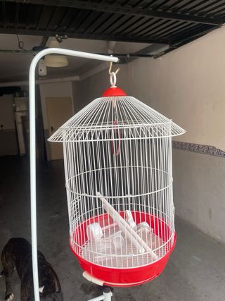 Jaula para pájaros con soporte
