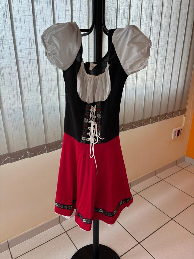 Lote 10 disfraces Carnaval