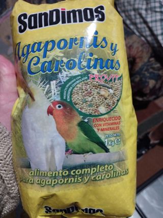 Panizo y pienso para agapornis
