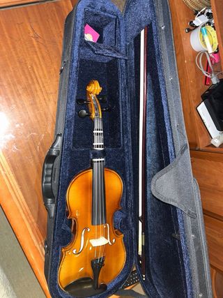 Violín4/4 con funda,brea,almohadilla y cuerdasGDA