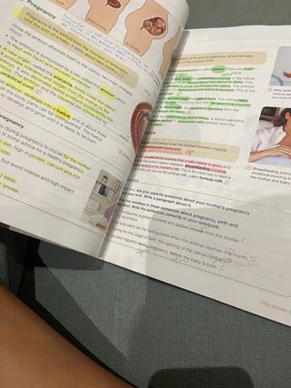 libro natural science 6 primaria Santillana