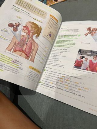 libro natural science 6 primaria Santillana