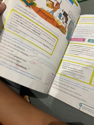 libro lengua 1 y 3 trimestre 6 primaria Anaya 