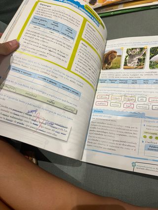 libro lengua 1 y 3 trimestre 6 primaria Anaya 