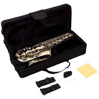 Sax Contralto SAL700 Anticato