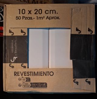 Azulejos blancos mate tipo metro 10x20cm