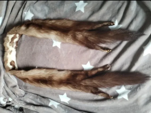 ZARA, 80B, NUEVO/LOTE