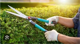 limpieza y mantenimiento de parcelas