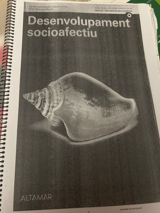 DESENVOLUPAMENT SOCIOAFECTIU GS CATALAN 22 CF