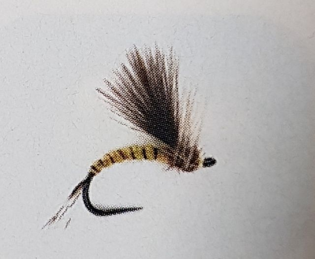 Plumas de pato para pesca deportiva Lince