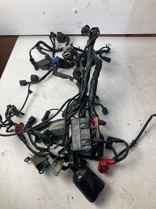 CABLEADO HONDA CBR 650R A2