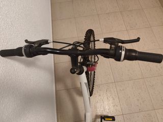 Bicicleta tamaño 24