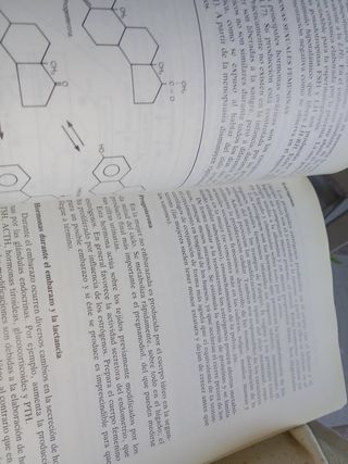 Fundamentos de fisiología y bases anatómicas 