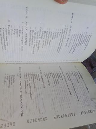 Fundamentos de fisiología y bases anatómicas 