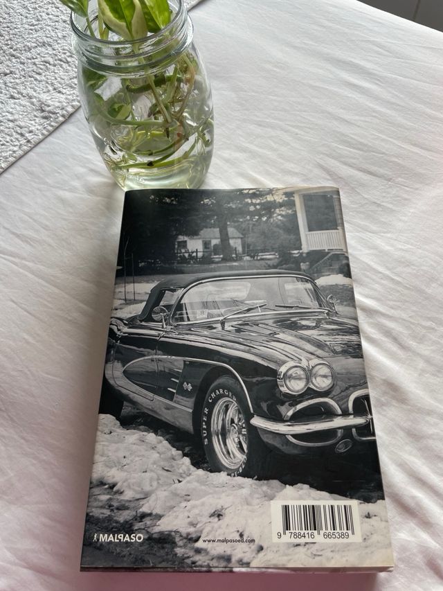 BORN TO RUN. en Català