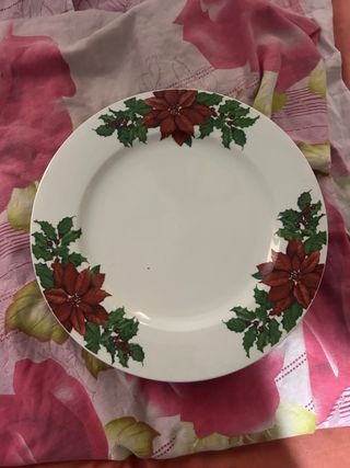 8 Platos Porcelana Flores Rojas