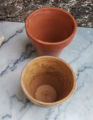 Macetas de terracota