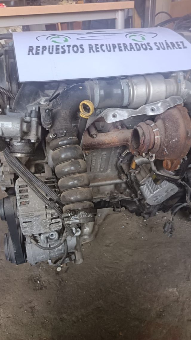 Motor p.s.a. Ford Transit Connect Completo