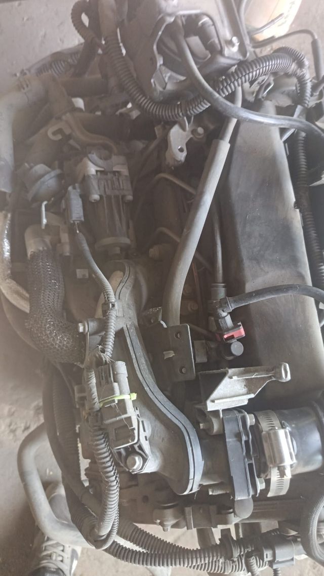 Motor p.s.a. Ford Transit Connect Completo