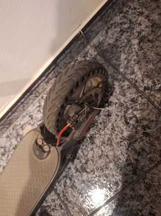 Patinete Eléctrico Xiaomi