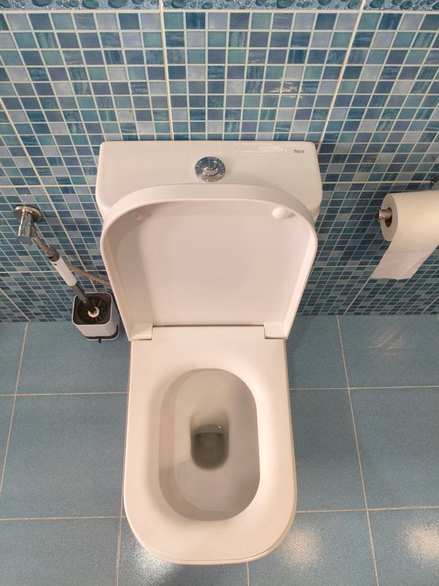 Inodoro Roca The Gap Blanco