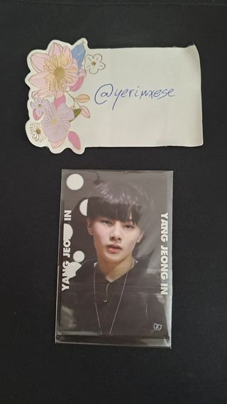 Photocard oficial IN Stray Kids