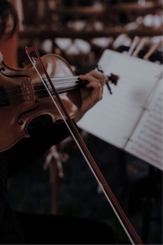 Profesor particular de violín.