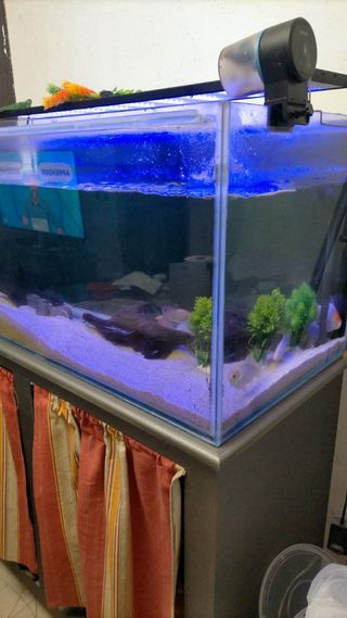 Acuario 300L