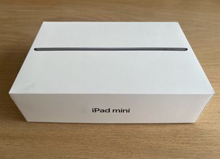 iPad mini 5 256 GB