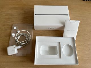iPad mini 5 256 GB